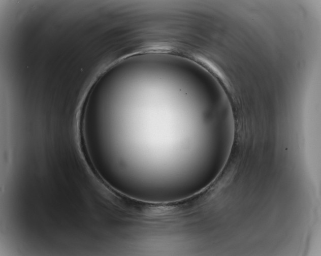 X0000090721475200707201338