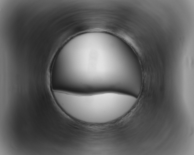X0000090721476200707201337