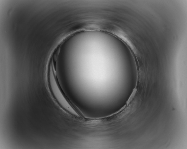 X0000090721477200707201337