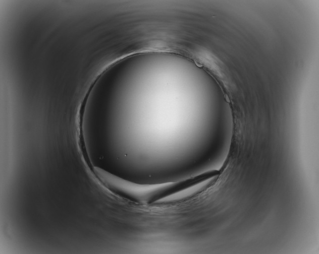 X0000090721479200707201337