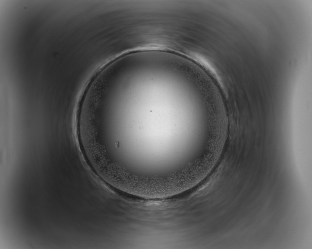 X0000090721480200707201337