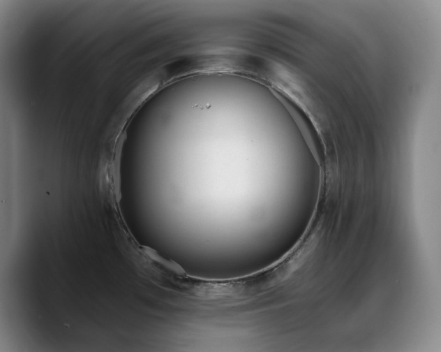 X0000090721481200707201337