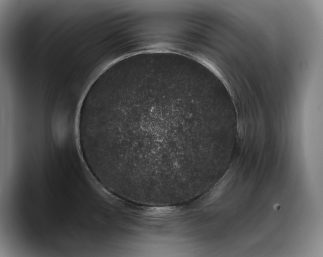 X0000090721482200707201337