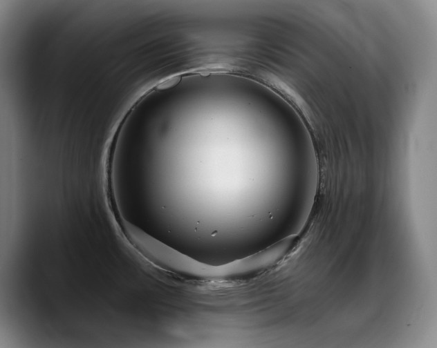 X0000090721483200707201337