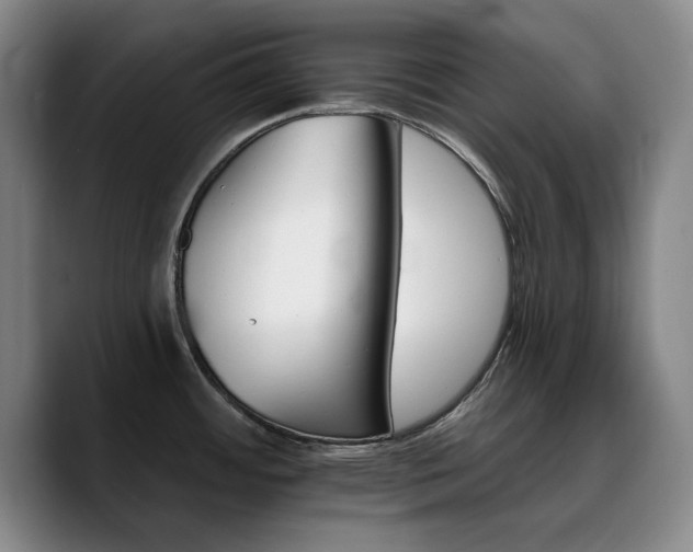 X0000090721484200707201337