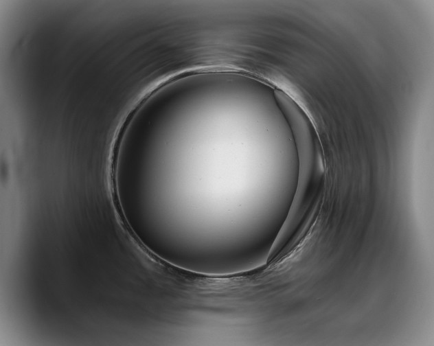 X0000090721485200707201337
