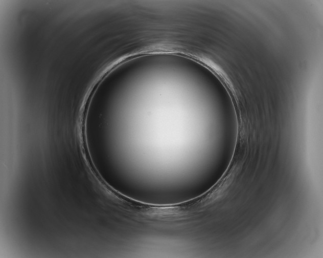X0000090721486200707201337