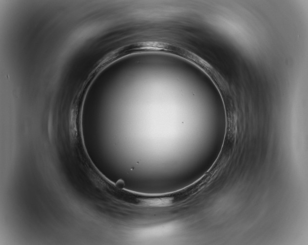 X0000090721487200707201337