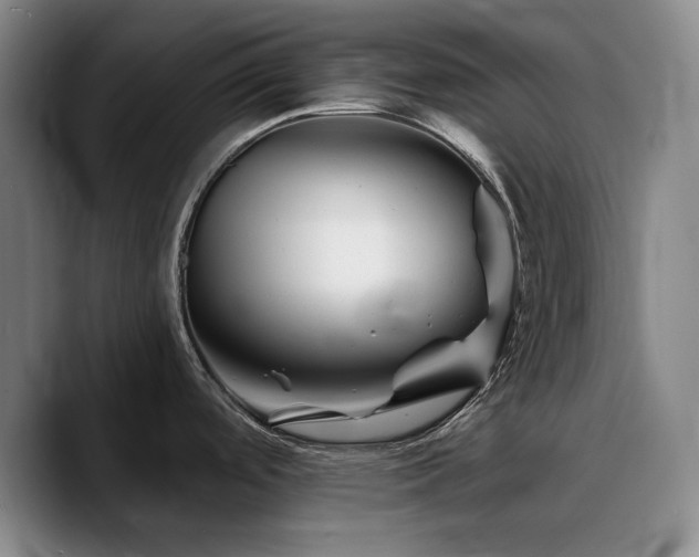 X0000090721488200707201337
