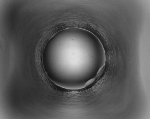 X0000090721489200707201337