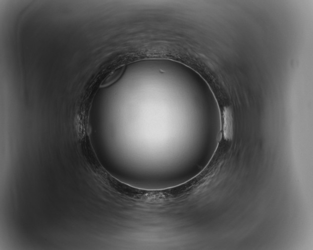 X0000090721491200707201337