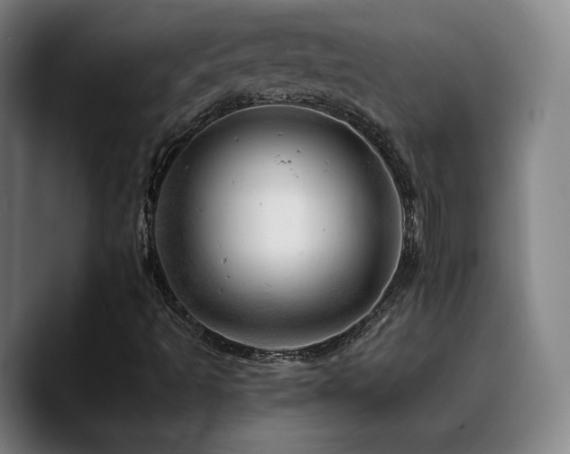 X0000090721493200707201337