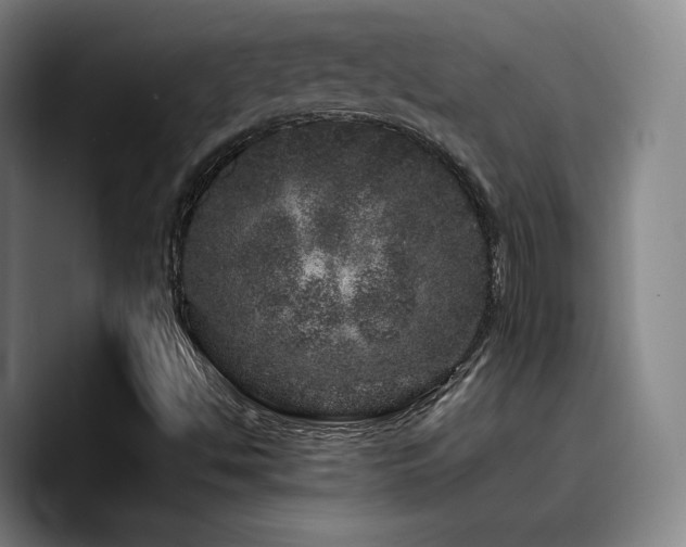 X0000090721494200707201337