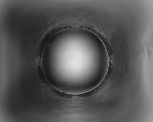 X0000090721495200707201337