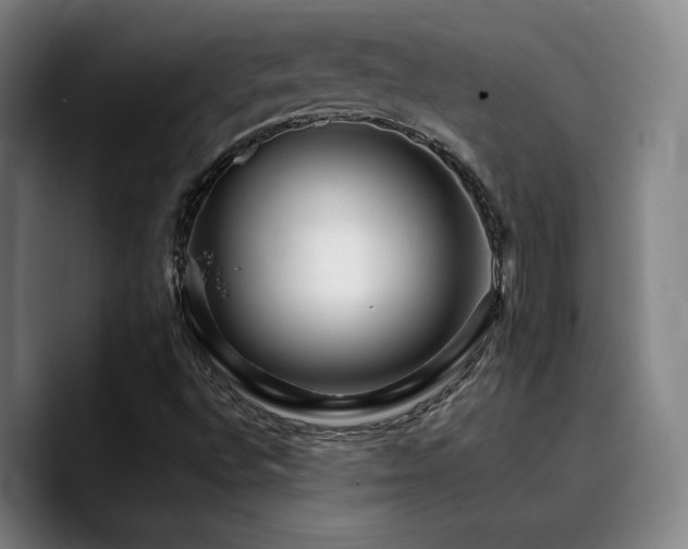 X0000090721496200707201337