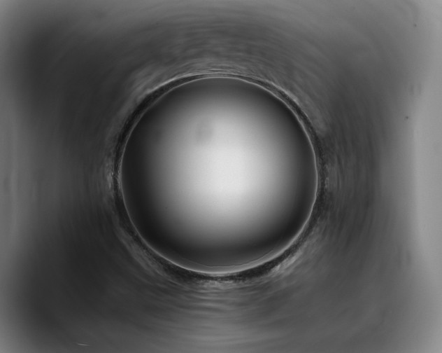X0000090721499200707201337