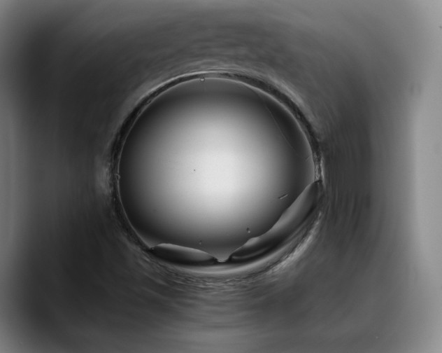 X0000090721501200707201337