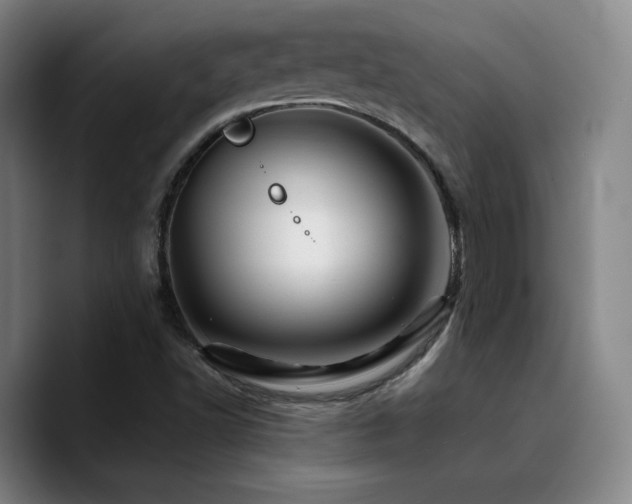 X0000090721502200707201337
