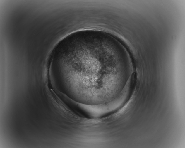 X0000090721506200707201337