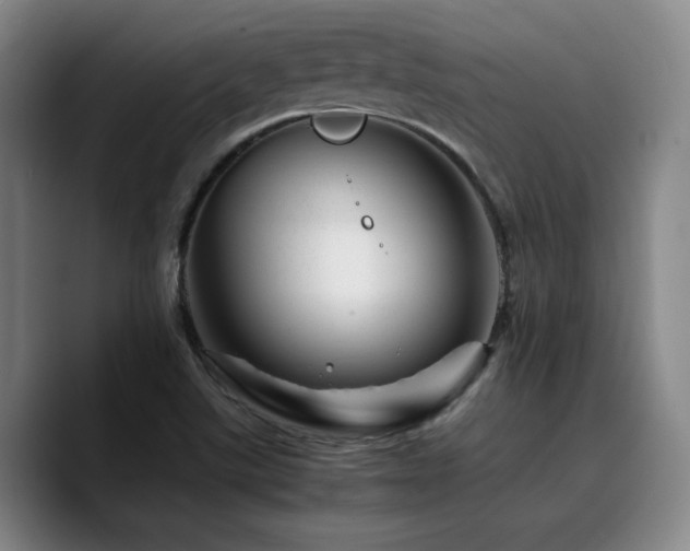 X0000090721507200707201337