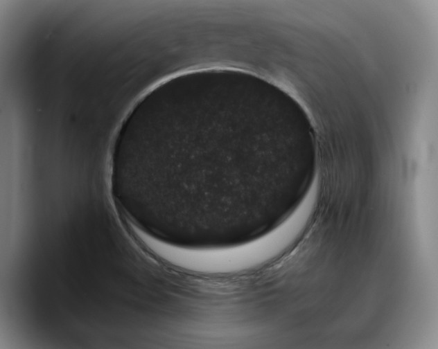 X0000090721508200707201337