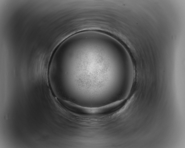 X0000090721513200707201337