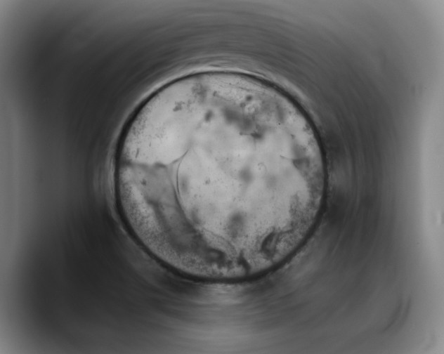 X0000090721514200707201337
