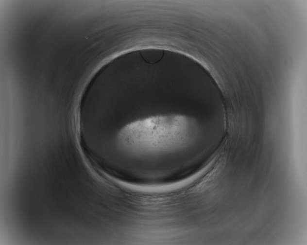 X0000090721515200707201337
