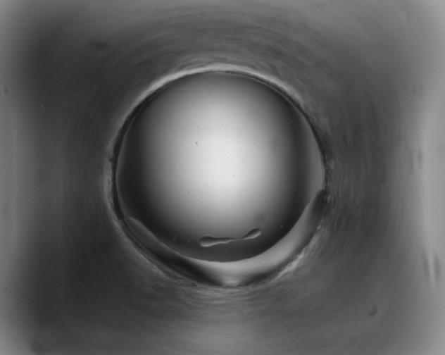 X0000090721518200707201337