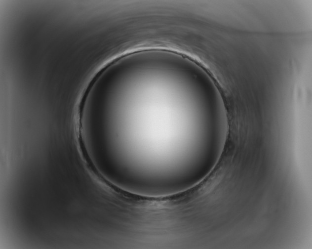 X0000090721519200707201337