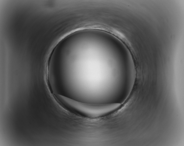 X0000090721520200707201337