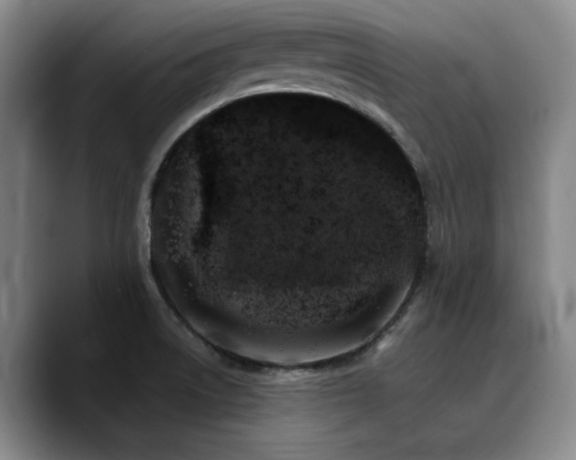 X0000090721522200707201337