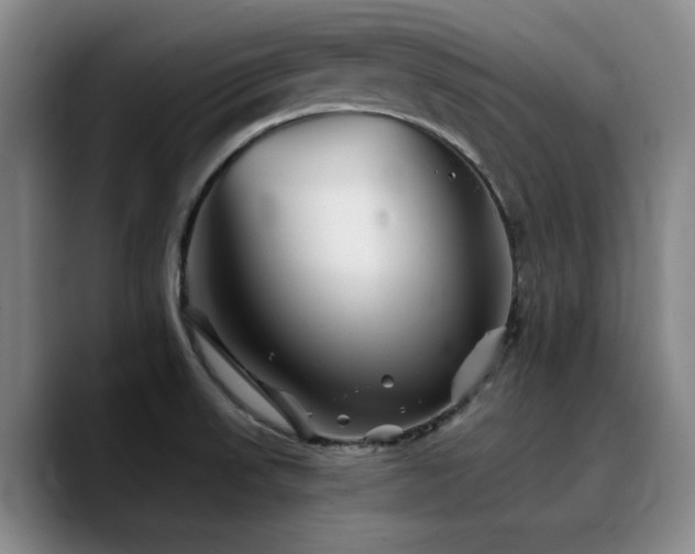 X0000090721523200707201337