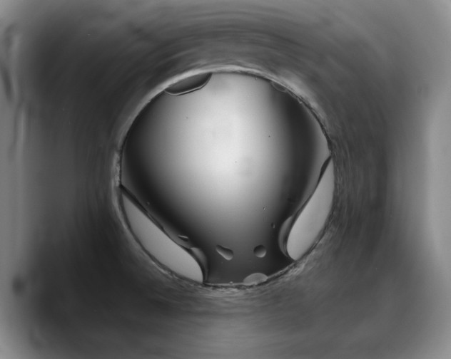 X0000090721524200707201337