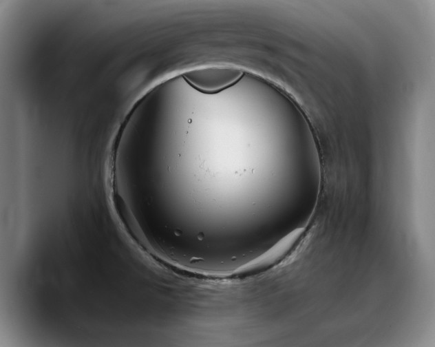 X0000090721526200707201337