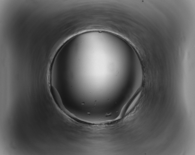 X0000090721527200707201337