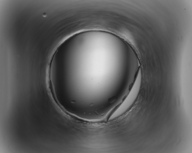 X0000090721528200707201337