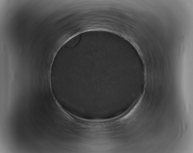 X0000090721529200707201337