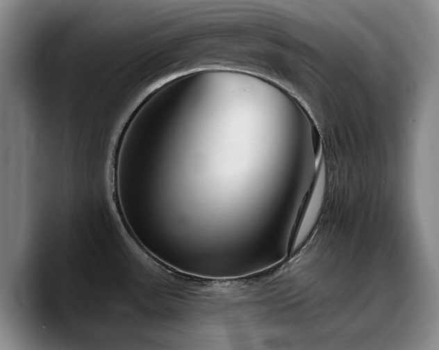 X0000090721531200707201337