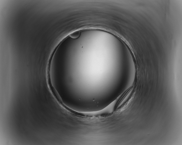 X0000090721533200707201337