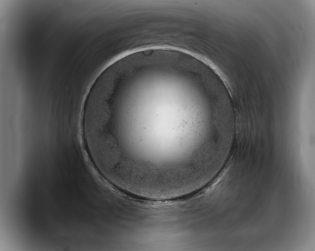 X0000090721534200707201337
