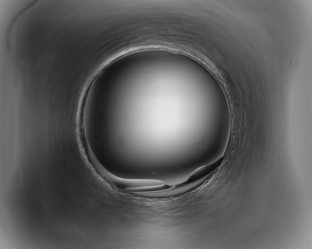 X0000090721536200707201337