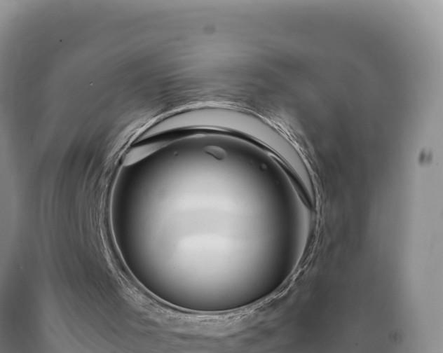 X0000090720001200707271202