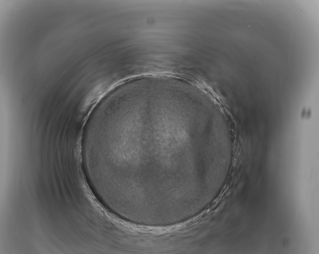 X0000090720002200707271202