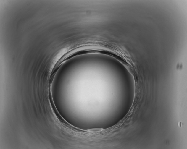 X0000090720003200707271202
