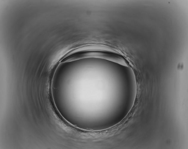 X0000090720005200707271202