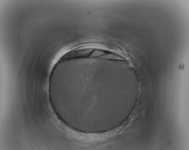 X0000090720006200707271202