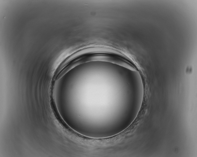 X0000090720007200707271202