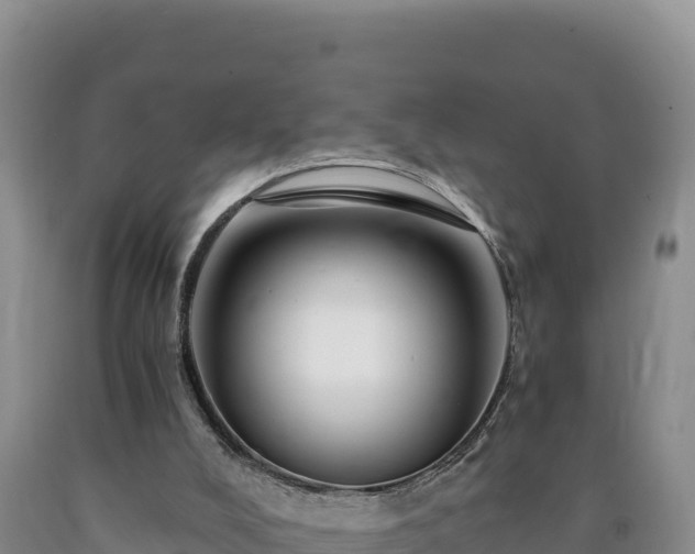 X0000090720008200707271202