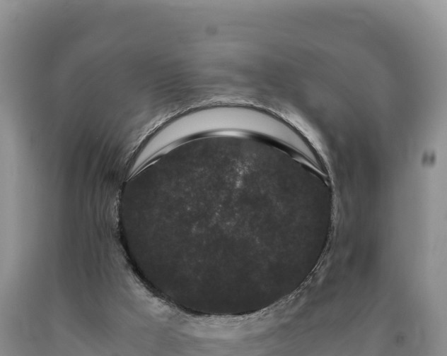 X0000090720009200707271202